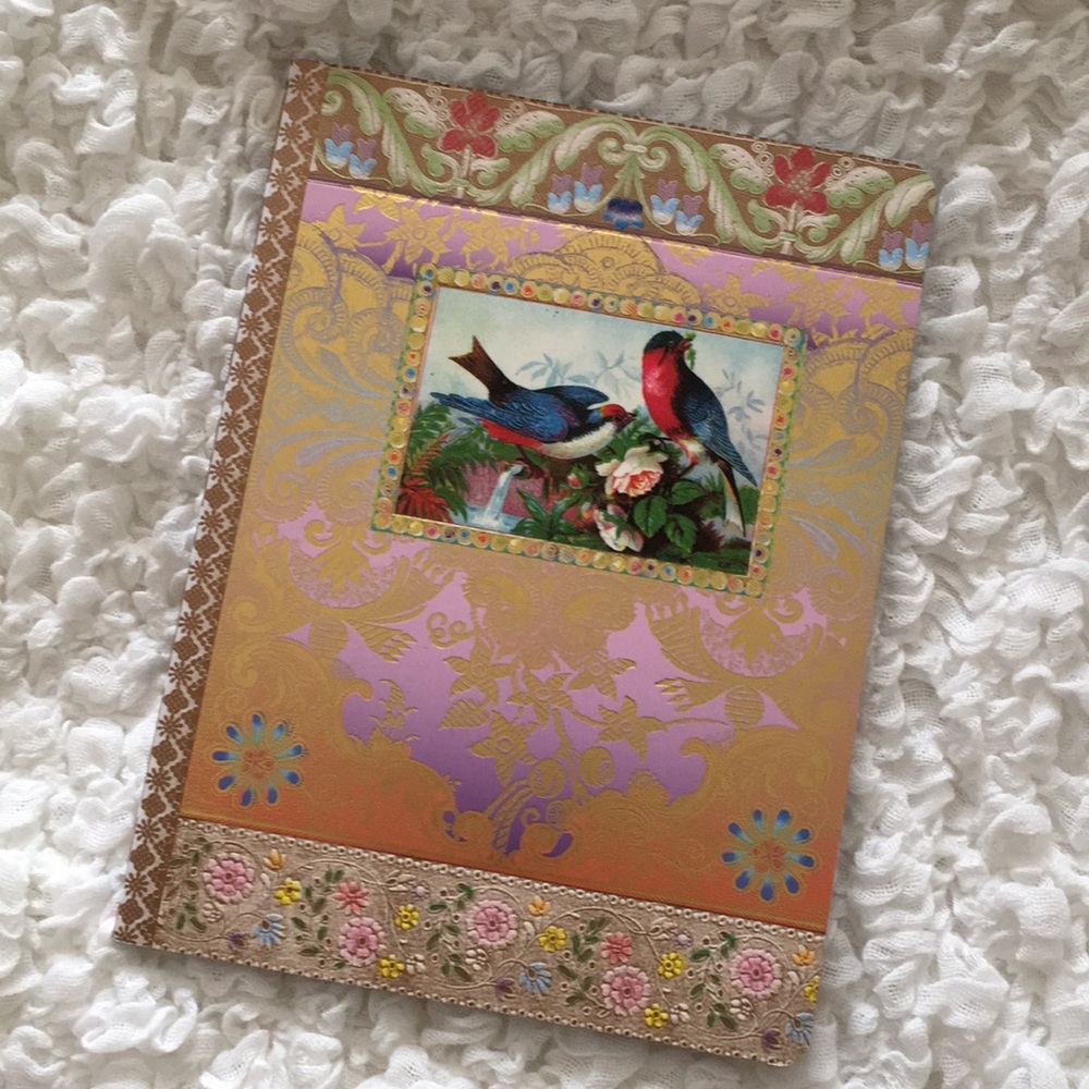 Victorian Birds Write & Draw Notebook